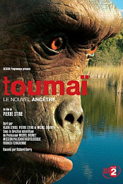 Toumai, the Oldest Human Ancestor