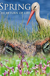 Spring: The Return of Life