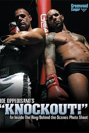 Knockout.2008.DVDRip.x264-REGRET