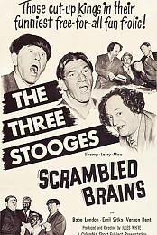 Scrambled Brains