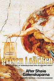 Grisen i sacken