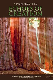 Echoes of Creation