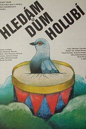 Hledam dum holubi