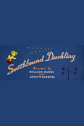 Southbound Duckling
