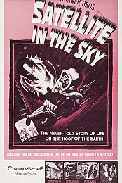 Satellite in the Sky