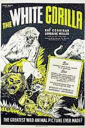 The White Gorilla
