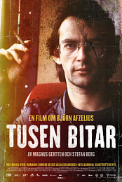 Tusen bitar