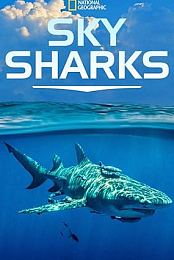 Sky Sharks: Closer Than You Think
