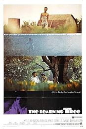 The Learning Tree