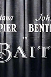 Bait