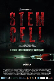 Stem Cell