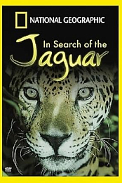 In Search of the Jaguar