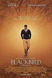 Blackbird