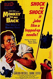 Monkey on My Back