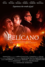 Pelicano