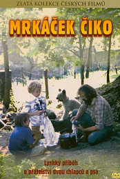 Blinker-Ciko