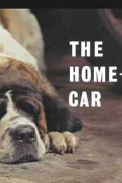 The Home-Made Car