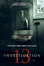 Investigation 13
