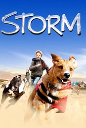 Storm