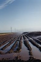 El Valley Centro
