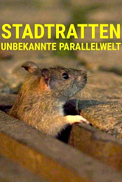 Stadtratten: Unbekannte Parallelwelt