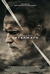 Aftermath 2017 720p Bluray