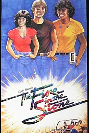 Colin Thiele's The Fire in the Stone