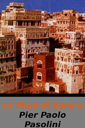 The Walls of Sana'a