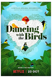 Dancing with the Birds