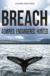 Breach
