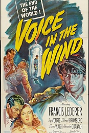 Voice in the Wind