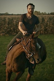 Bloodstock