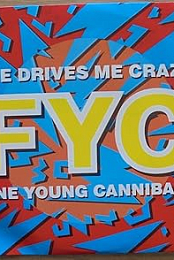 Fine Young Cannibals: She Drives Me Crazy