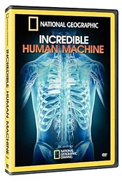 Incredible Human Machine