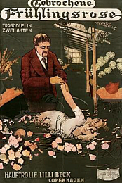 The Broken Spring Rose