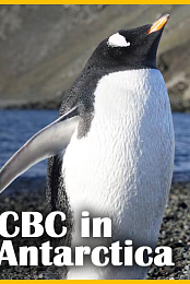 CBC in Antarctica