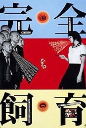 The Perfect Education