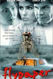 Flypaper