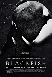 Blackfish
