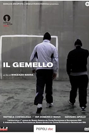 Il gemello