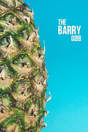 The Barry Gibb