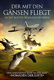 Les routes secretes des oiseaux migrateurs