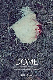 Dome