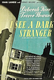 I See a Dark Stranger