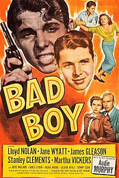 Bad Boy