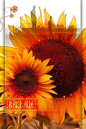 Baklava 2007 1080p English Subs Hardcoded