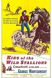 King of the Wild Stallions