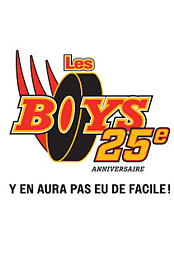 Les Boys: 25eme anniversaire