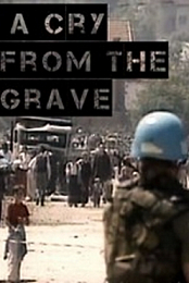 Srebrenica: A Cry from the Grave