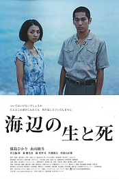 Life and Death on the Shore